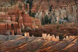 USA, Utah, Bryce Canyon National Park. Sunrise on sandstone hoodoo formations