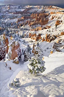 Images Dated 14th February 2022: USA, Utah, Bryce Canyon National Park. Winter sunrise on snow-covered landscape