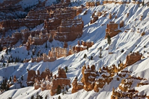 Images Dated 1st January 2009: USA, Utah, Bryce Canyon National Park. Bryce Amphitheater from Inspiration Point, winter