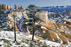 Images Dated 7th January 2007: USA, Utah, Bryce Canyon National Park. In winter