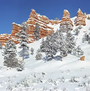 Hill Side Prints: USA, Utah, Bryce Canyon NP. Snow-covered sandstone bluffs juts into the blue sky