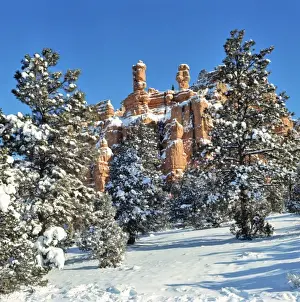 Bryce Canyon Prints: USA, Utah, Bryce Canyon NP. Snow covers the trees and cliffs in Bryce Canyon National Park