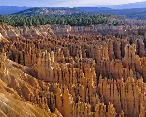 Hoo Doo Prints: USA, Utah, Bryce Canyon NP. The striking hoodoos of Bryce Canyon National Park, Utah