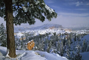 Images Dated 9th May 2007: USA, Utah, Bryce Canyon in Winter. Credit as: Nancy Rotenberg / Jaynes Gallery / DanitaDelimont