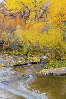 Grand Staircase Escalante Natio Prints: USA, Utah, Calf Creek Recreation Area in autumn