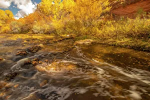 Images Dated 4th October 2022: USA, Utah, Calf Creek Recreation Area in autumn