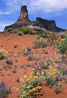 USA, Utah, Canyonlands National Park, Dead Horse Point State Park, Rock formation