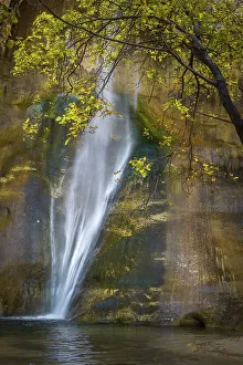 Images Dated 2023 April: USA, Utah, Capital Reef National Park. Waterfall and tree overlooking pool