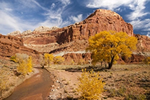 Capitol Reef Prints: USA, Utah, Capitol Reef. Creek and autumn landscape
