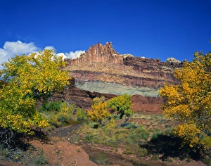 USA, Utah, Capitol Reef National Park, showing The Castle along the Fremont River