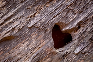 USA, Utah, Capitol Reef National Park. Heart-shaped hole in rock