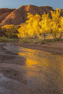 Images Dated 2nd April 2019: USA, Utah, Capitol Reef National Park. Sulphur Creek in autumn