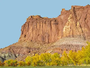 Images Dated 26th July 2019: USA, Utah. Capitol Reef National Park, Fruita Orchards and Fruita Cliffs