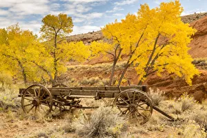 Images Dated 2nd April 2019: USA, Utah, Capitol Reef National Park. Old wagon and mountain and trees in autumn