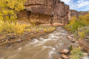 Images Dated 2nd April 2019: USA, Utah, Capitol Reef National Park. Fremont River and trees in autumn