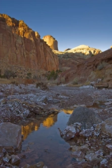 Images Dated 15th March 2007: USA, Utah, Capitol Reef National Park. The Golden Cathedral reflected in a small pool