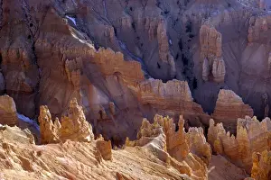 Plateau Prints: USA, Utah, Cedar Breaks. Hoodoos of Cedar Breaks National Monument