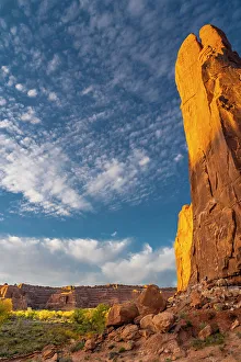 USA, Utah. Cliffs, clouds, and autumn cottonwoods at sunset, Arches National Park