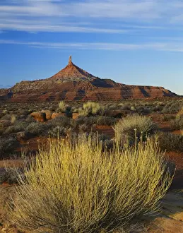 Colorado Plateau Prints: USA, Utah, Colorado Plateau, Rabbit brush and blackburn on flats below North Six-shooter