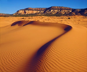 Images Dated 6th May 2014: USA, Utah. Coral Pink Sand Dunes at sunset