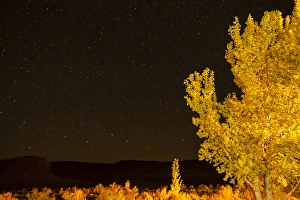 Images Dated 27th October 2013: USA, Utah. Credit as: Cathy & Gordon Illg / Jaynes Gallery / DanitaDelimont