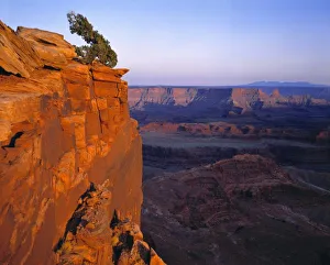 Precipice Prints: USA, Utah, Dead Horse Point SP. Late light turns this rock wall red at Dead Horse