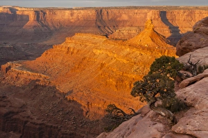 Images Dated 13th April 2014: USA, Utah, Dead Horse Point State Park. Sunrise on canyon landscape