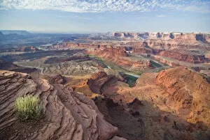 Images Dated 11th September 2007: USA, Utah, Deadhorse Point SP. Goosenecks of the Colorado visible from the scenic