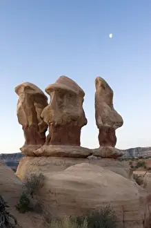 Western United States Prints: USA - Utah. Devils Garden off Hole-in-the-Rock Road in Grand Staircase - Escalante