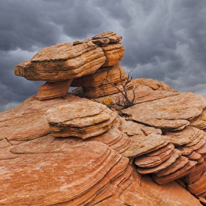 Images Dated 20th November 2013: USA, Utah, Dixie National Forest. Sandstone formation in Yant Flats
