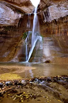USA, Utah, Escalante NM. Autumn leaves fill the basin at Lower Calf Creek Falls in