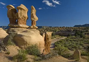 Images Dated 7th June 2007: USA, Utah, Escalante Wilderness. Pinnacles in Devils Garden