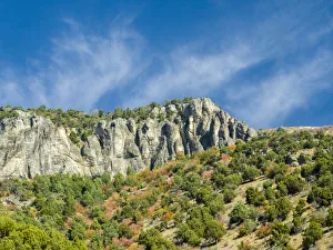 Logan Canyon Prints: USA, Utah. Fall color with aspens along Logan Canyon