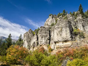 Images Dated 14th September 2021: USA, Utah. Fall color with aspens along Logan Canyon