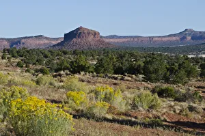 Landscape Prints: USA, Utah. Fry Canyon, Cheese Box Butte