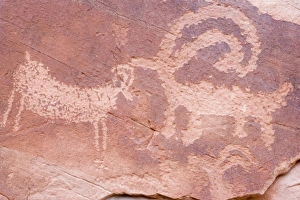 Rock Art Prints: USA; Utah; Glen Canyon National Park. Detail of petroglyph near Escalante River