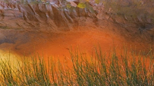 Images Dated 10th November 2013: USA, Utah, Glen Canyon National Recreation Area. Reflection in Pool Canyon. Credit as