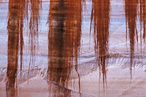 Images Dated 14th November 2013: USA, Utah, Glen Canyon National Recreation Area. Sandstone wall with desert varnish stains