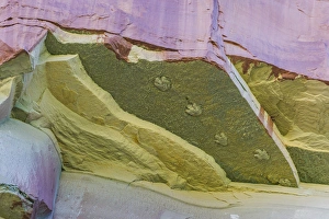 Images Dated 8th November 2013: USA, Utah, Glen Canyon National Recreation Area. Dinosaur tracks on rock face. Credit as
