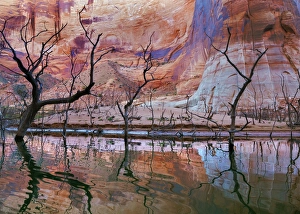 Images Dated 11th November 2013: USA, Utah, Glen Canyon National Recreation Area