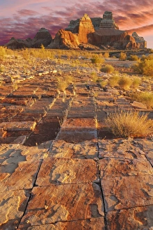Images Dated 14th November 2013: USA, Utah, Glen Canyon National Recreation Area. Sunset on sandstone formations. Credit as