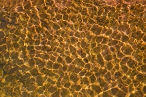 Images Dated 1st November 2009: USA, Utah, Glen Canyon National Recreation Area. Sunlight in shallow water of Lake Powell