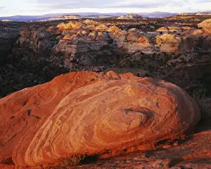 USA, Utah, Grand Staircase-Escalante National Monument, Escalante Canyon Rim