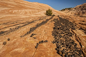 Images Dated 31st October 2013: USA, Utah, Grand Staircase Escalante National Monument. Moki marbles on rocky cliff