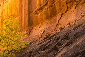 Images Dated 2nd April 2019: USA, Utah, Grand Staircase-Escalante National Monument. Slot canyon cliff