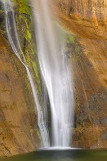 Images Dated 3rd July 2020: USA, Utah, Grand Staircase Escalante National Monument, Lower Calf Creek Falls