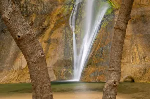 Images Dated 3rd July 2020: USA, Utah, Grand Staircase Escalante National Monument, Lower Calf Creek Falls