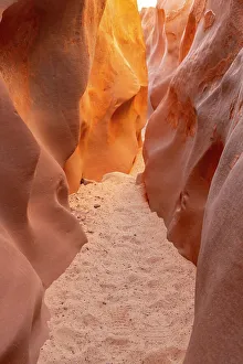 Images Dated 4th October 2022: USA, Utah, Grand Staircase Escalante National Monument. Bighorn Canyon trail
