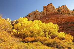Images Dated 4th October 2022: USA, Utah, Grand Staircase Escalante National Monument. Calf Creek Canyon landscape