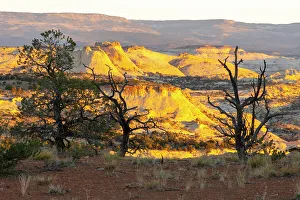 Images Dated 4th October 2022: USA, Utah, Grand Staircase Escalante National Monument